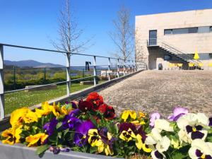 a flower box with colorful flowers in front of a building at HI Vila Nova de Cerveira - Pousada de Juventude in Vila Nova de Cerveira
