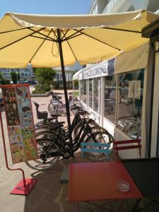 Jazda na bicykli v okolí ubytovania Apartments Kione Playa Romana Park