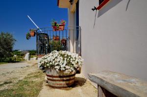 A garden outside Villa Chiara