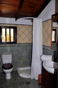 a bathroom with a toilet and a sink and a shower at Monte frio de Tenerife in La Guancha