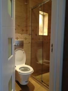 a bathroom with a toilet and a glass shower at cozy,luxurious and spacious villa on the black sea in Lŭka +16 photos