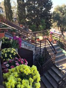 a woman is standing on the stairs with flowers at B&B Nonna Luisa in Tarquinia