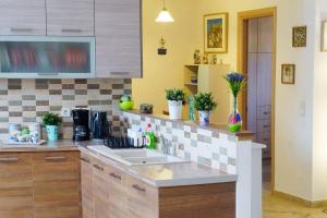 Kuchyň nebo kuchyňský kout v ubytování Anemona Apartment