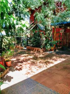 un patio con muchas plantas y un edificio rojo en Alojamiento Familiar Alternativo Daniel Oviedo en Puerto Iguazú