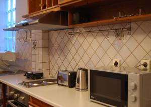 eine Küche mit einer Mikrowelle und einer Theke mit einem Herd in der Unterkunft Lake view apartment in Ioannina