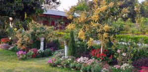 Zahrada ubytování Atmaja The Cottage Garden Under Tourism Department Government of West Bengal