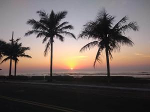 um grupo de palmeiras na praia ao pôr do sol em Pousada em Mongaguá Kali em Mongaguá