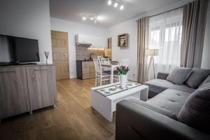 Kuchyňa alebo kuchynka v ubytovaní Apartamenty przy skoczni
