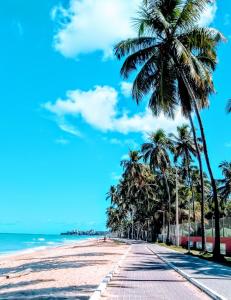 a beach with palm trees and the ocean at Recanto do Mergulhão in Maceió