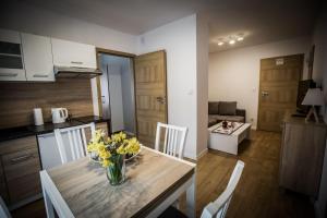 Kuchyňa alebo kuchynka v ubytovaní Apartamenty przy skoczni