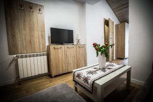 Televízia a/alebo spoločenská miestnosť v ubytovaní Apartamenty przy skoczni