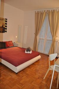 Un dormitorio con una cama con un gato. en La Casa di Sarita, en Pavia