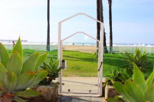 een open deur naar het strand met planten bij Venice on the Beach Hotel in Los Angeles +30 foto's