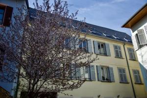 un edificio amarillo con un árbol delante de él en Appartement 3 pièces, Krutenau, Parking privé en Estrasburgo