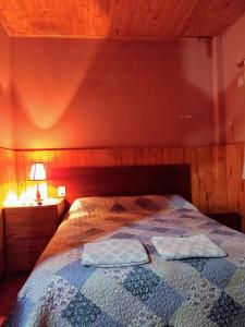 1 dormitorio con 1 cama con 2 almohadas en Alojamiento Familiar Alternativo Daniel Oviedo en Puerto Iguazú