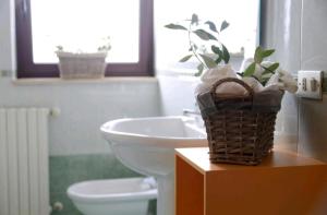 a bathroom with a sink and a toilet and a basket at "La casa di Mariagrazia" rooms con cucina condivisa e terrazza in Sammichele di Bari +83 photos