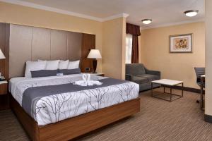 a hotel room with a bed and a chair at Best Western Hollywood Plaza Inn Hotel - Hollywood Walk of Fame LA in Los Angeles