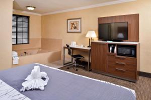 a hotel room with a bed and a desk and a television at Best Western Hollywood Plaza Inn Hotel - Hollywood Walk of Fame LA in Los Angeles