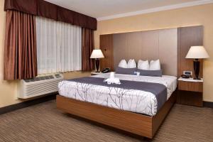 a hotel room with a large bed in it at Best Western Hollywood Plaza Inn Hotel - Hollywood Walk of Fame LA in Los Angeles