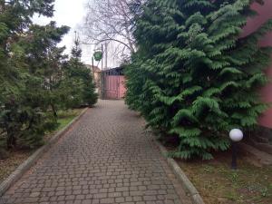 a brick sidewalk next to a large green tree at Hostel Vokzal in Mukacheve