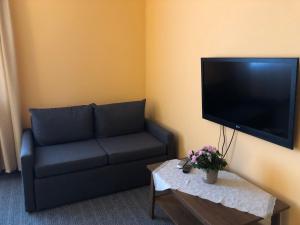 TV a/nebo společenská místnost v ubytování Rēzijas