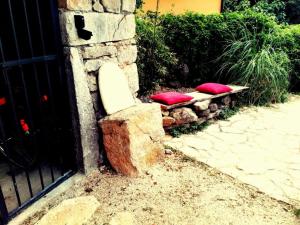 Zahrada ubytování Villa Mali San