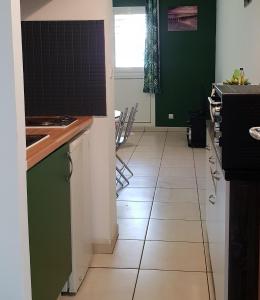 kuchnia z zielonymi ścianami i podłogą wyłożoną kafelkami w obiekcie T1 tout confort w mieście Saint-Denis