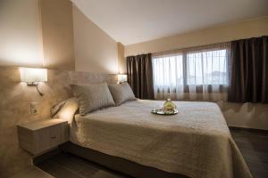 a bedroom with a large bed and a window at Elia Luxury Apartments in Stavros