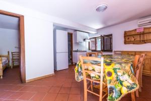 Gallery image of Campeggio Europa in Torre del Lago Puccini