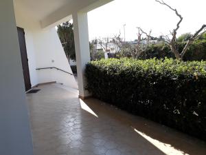 Zahrada ubytování Villa Fede