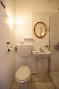 a bathroom with a toilet and a sink and a mirror at Le Violette in Lucca
