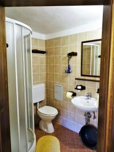 Koupelna v ubytování Apartmaji Pr-Gujlu Sela nad Podmelcem 5220 TOLMIN + 37 fotografií