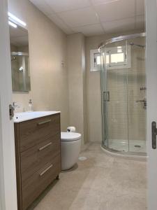 La salle de bains est pourvue d'une douche, de toilettes et d'un lavabo. dans l'établissement Diamond Apartments Puerto De Malaga, à Malaga