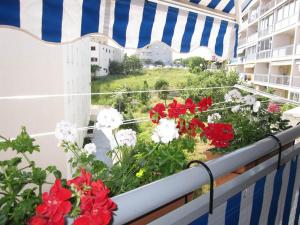 un balcón con flores rojas y blancas. en Apartment Marija, en Split