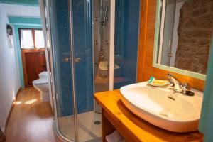 a bathroom with a sink and a shower and a toilet at CASA SENERA in Santa Cruz de la Serós +54 photos