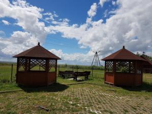 two gazebos and a picnic table in a field at Apartament Maki Apartament na wyłączność in Krynica Morska