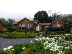 Zahrada ubytování Oraview Pension