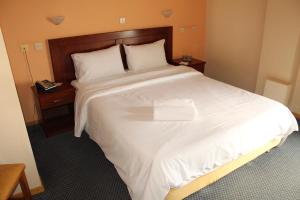 Ένα ή περισσότερα κρεβάτια σε δωμάτιο στο Ξενοδοχείο Χιλή