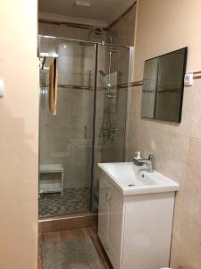 a bathroom with a shower with a sink and a toilet at AMN Center Apartment in Belgrade +34 photos