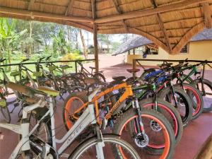 a row of bikes parked next to each other at Africa Safari Camping Mto wa Mbu in Mto wa Mbu