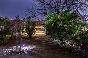 a garden with trees and a house at night at Sougri Doogo in Loumbila
