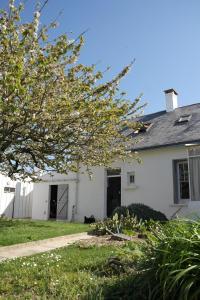 a white house with a cat sitting in the yard at Coup de coeur assuré pour cette charmante maison à 400 m de la plage in Saint-Gilles-Croix-de-Vie