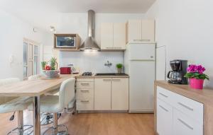 Kuchyň nebo kuchyňský kout v ubytování Apartment Felix