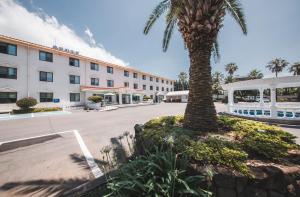 a palm tree in front of a hotel at Jungmun Resort Jeju in Seogwipo