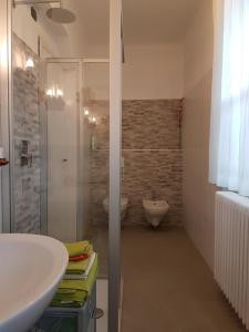 a bathroom with a shower and a sink and a toilet at B&B Le Colombine in Abbadia Lariana