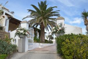 Una cerca blanca con flores con una palmera en Hotel Agave e Ginestra en Ventotene