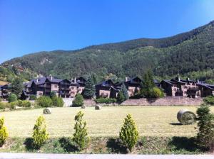 a herd of cattle standing on top of a lush green field at Hotel Ordino in Ordino