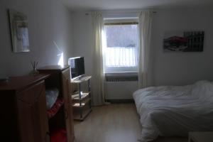 a bedroom with a bed and a television and a window at Casa Papa in Friedberg