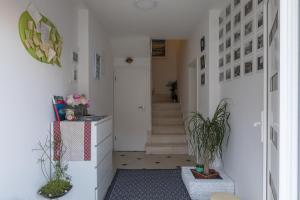 Fotografie z fotogalerie ubytování Apartments Lile v Dubrovníku