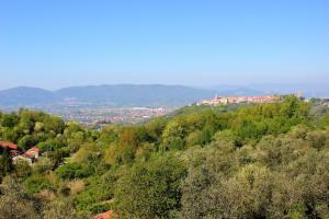 Blick auf einen Hügel mit Bäumen und eine Stadt in der Unterkunft Fattoria Cristina - Mono in Castelnuovo Magra